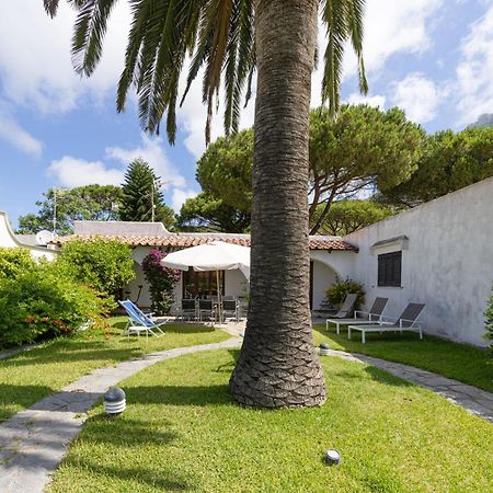 Forio di Ischia Villetta Con Giardino Esclusivo Di 1000 Mq, Piscina, Tennis, Calcio, Bocce מראה חיצוני תמונה