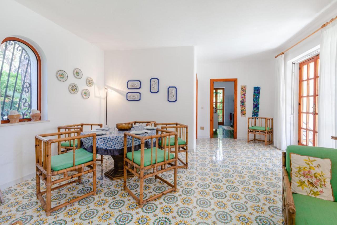 Forio di Ischia Villetta Con Giardino Esclusivo Di 1000 Mq, Piscina, Tennis, Calcio, Bocce מראה חיצוני תמונה