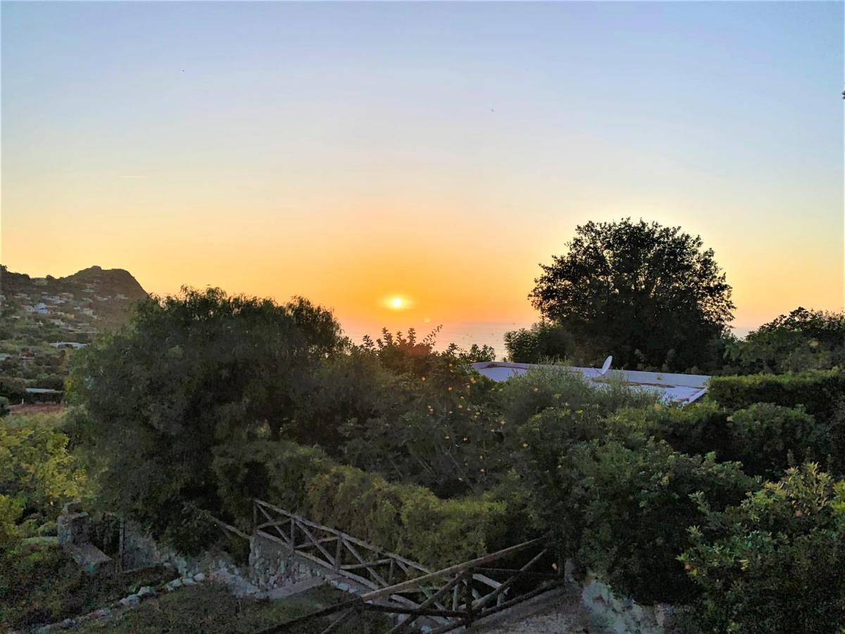 Forio di Ischia Villetta Con Giardino Esclusivo Di 1000 Mq, Piscina, Tennis, Calcio, Bocce מראה חיצוני תמונה