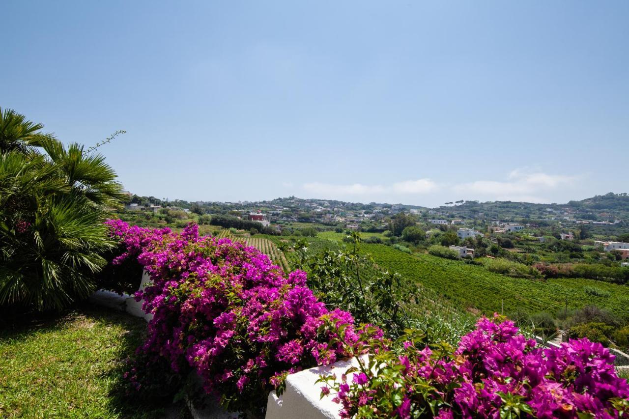 Forio di Ischia Villetta Con Giardino Esclusivo Di 1000 Mq, Piscina, Tennis, Calcio, Bocce מראה חיצוני תמונה