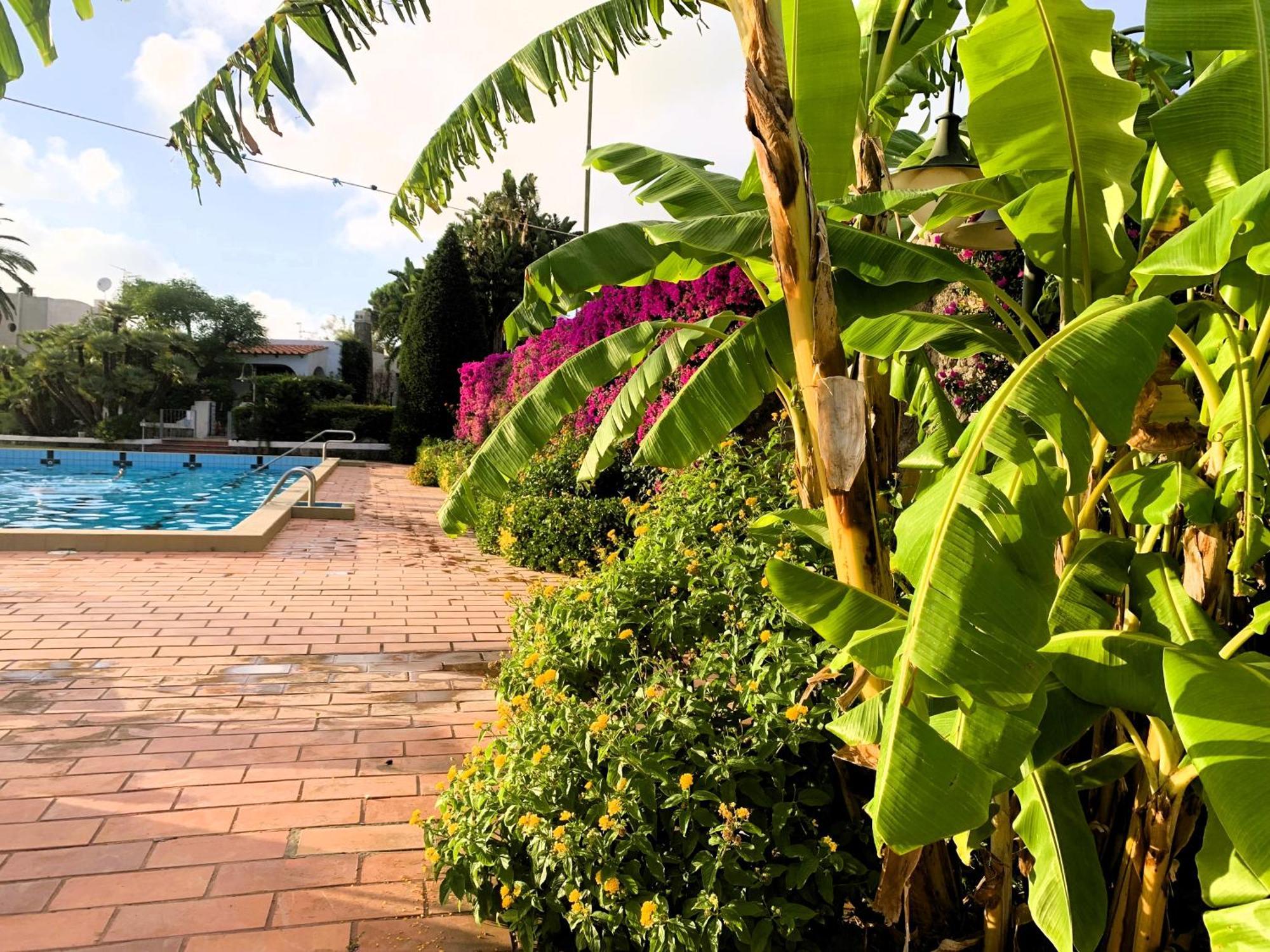 Forio di Ischia Villetta Con Giardino Esclusivo Di 1000 Mq, Piscina, Tennis, Calcio, Bocce מראה חיצוני תמונה