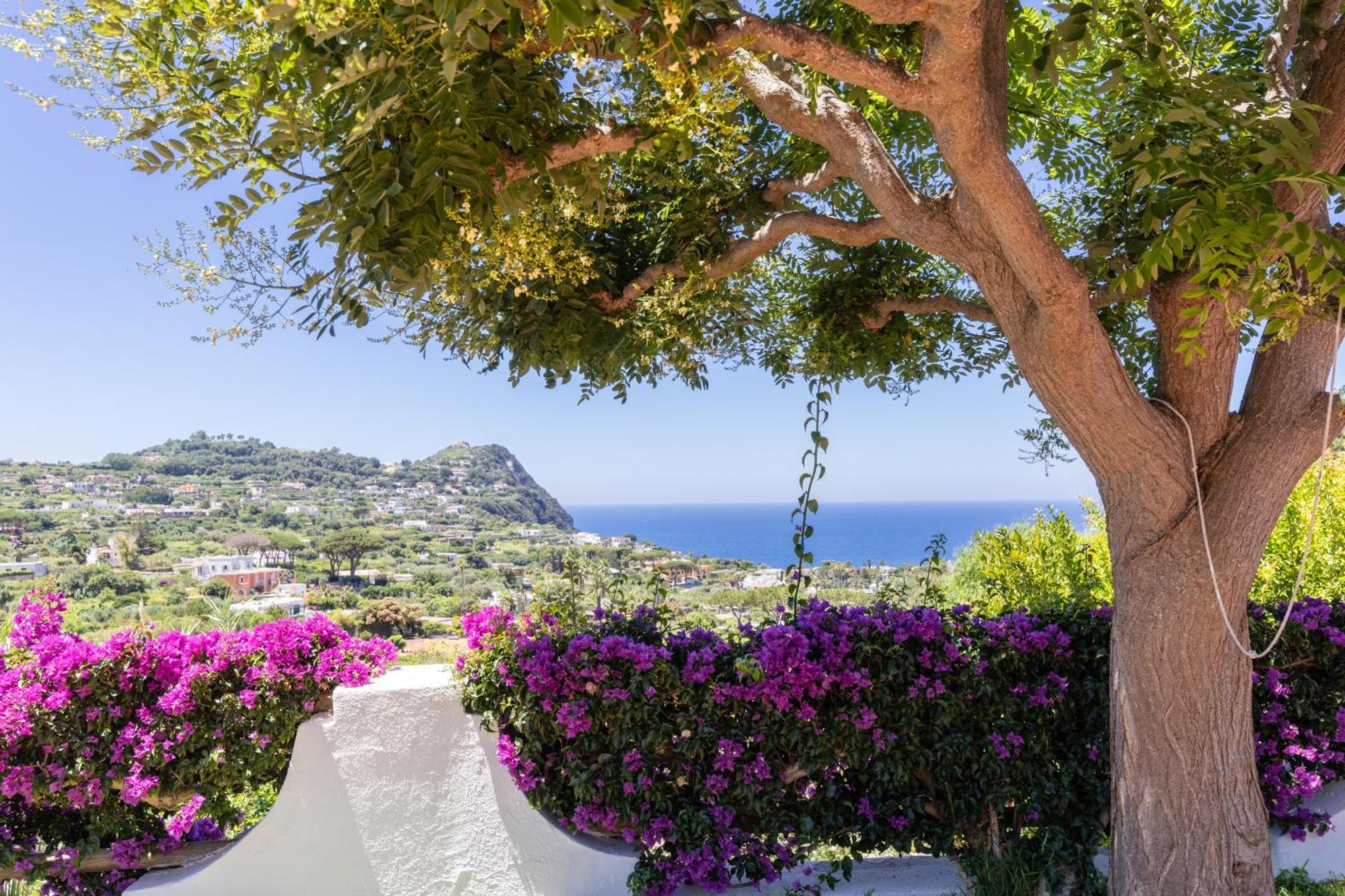 Forio di Ischia Villetta Con Giardino Esclusivo Di 1000 Mq, Piscina, Tennis, Calcio, Bocce מראה חיצוני תמונה