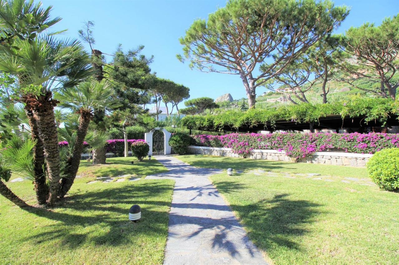 Forio di Ischia Villetta Con Giardino Esclusivo Di 1000 Mq, Piscina, Tennis, Calcio, Bocce מראה חיצוני תמונה