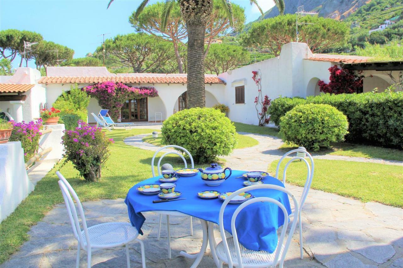 Forio di Ischia Villetta Con Giardino Esclusivo Di 1000 Mq, Piscina, Tennis, Calcio, Bocce מראה חיצוני תמונה