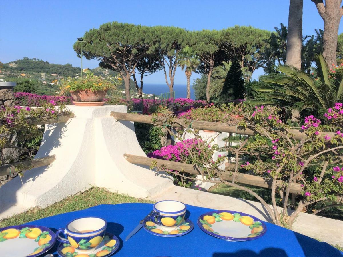 Forio di Ischia Villetta Con Giardino Esclusivo Di 1000 Mq, Piscina, Tennis, Calcio, Bocce מראה חיצוני תמונה